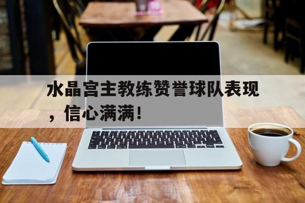 水晶宫主教练赞誉球队表现，信心满满！的简单介绍