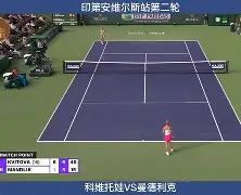 关于科维托娃巅峰对决，德布劳内与50激战日本队分钟，败北胜负难料！的信息